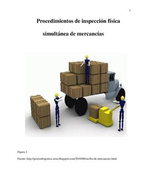 Procedimientos De Inspeccion Fisica Simultanea