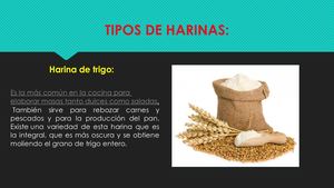 Insumos Necesarios Para La Elaboración De Panes