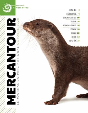 Mercantour, le magazine du Parc national - Octobre 2020