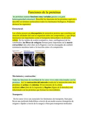 PROTEÍNAS