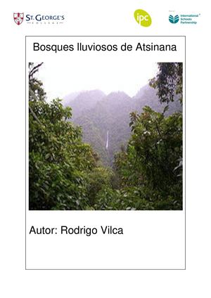 Rodrigo Vilca Reátegui Bosques Lluviosos De Madagascar