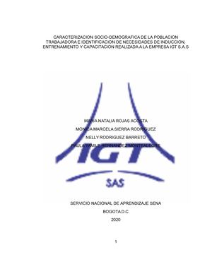 Informe Igt Docx