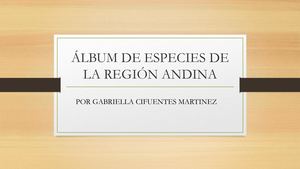 ÁLbum De Especies De La Región Andina