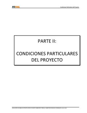 Condiciones Particulares Del Proyecto