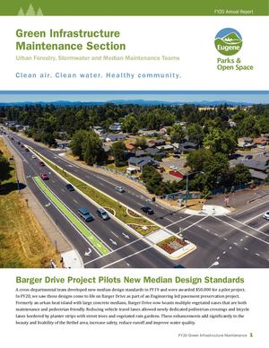 Green Infrastructure Maintenance FY20 Annual Report