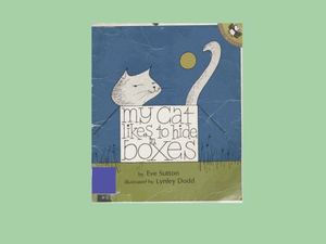 My Cat Likes To Hide In Boxes Story Book