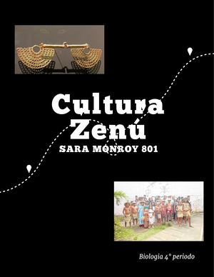 Cultura Zenú