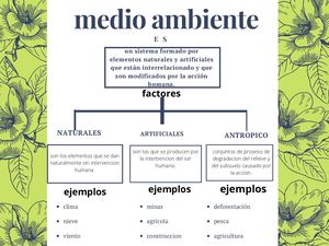 Mapa Conceptual Sobre El Medio Ambiente