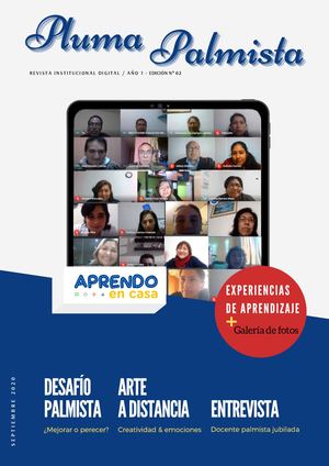 Pluma Palmista Borrador