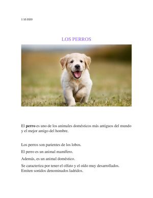 Los Perros 1 10 2020