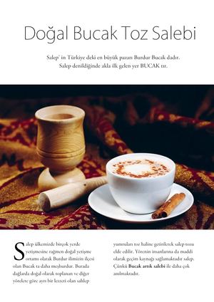 Calaméo - Bucak Toz Salebi