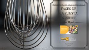 Fases De La Puesta A Punto