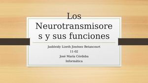 Los Neurotransmisores Y Sus Funciones