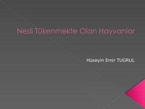 Nesli Tükenmekte Olan Hayvanlar