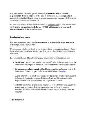 Las Neuronas No Son Todas Iguales