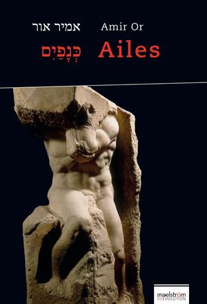 Ailes - Amir or, extrait