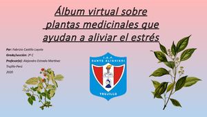 Álbum de plantas medicinales que ayuden a la reducción del estrés