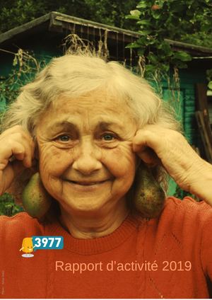 3977  - Rapport d'activité 2019