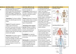 Tarea 2 Sistema Múscular ÓSeo Y Nervioso