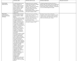 CUADRO COMPARATIVO, SISTEMA, OSEO,MUSCULAR Y NERVIOSO,JOIMAR ARDILA