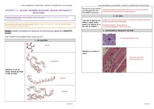 TSPE Th 3B3 Act2 Ci Glucides Histologie Corrige