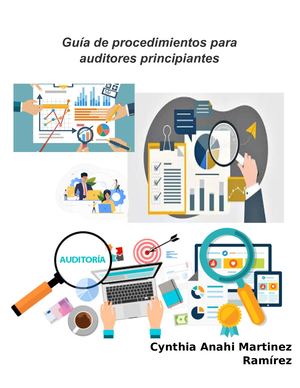 Guía De Procedimientos Para Auditores Principiantes
