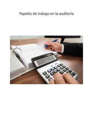 Papeles De Trabajo En La Auditoría