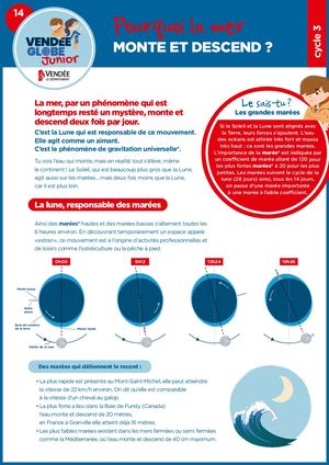 VGJ Cycle 3 - FICHE 14