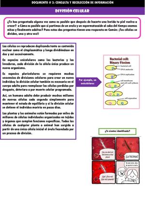 DOC 3 CONSULTA Y RECOLECCIÓN DE INFORMACIÓN