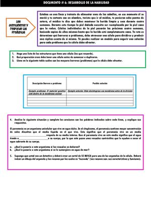 DOC 6 DESARROLLO DE LA HABILIDAD .