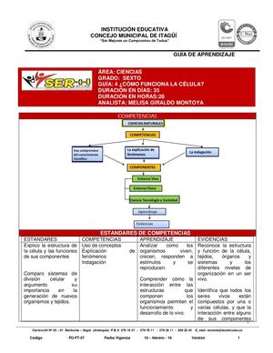 GUÍA4 CÓMO FUNCIONA LA CÉLULA