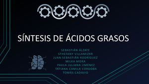 Síntesis De ÁCidos Grasos