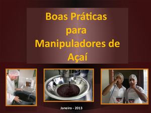 Apresentação Palestra Do Açaí 2