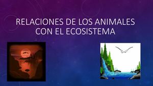 Relaciones De Los Animales Con El Ecosistema