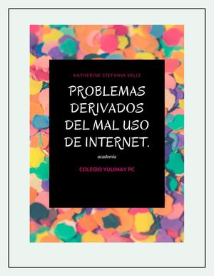 Problemas Derivados Del Mal Uso De Internet