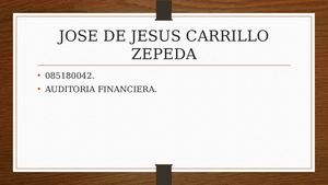 Papeles De Trabajo En La Auditoria