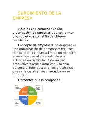 SURGIMIENTO DE LA EMPRESA