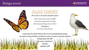 Tabla Y Video Biología