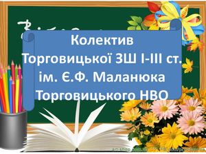 Колектив Торговицької школи