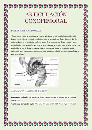Articulación Coxofemoral (1)