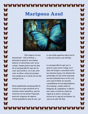 Mariposa Azul