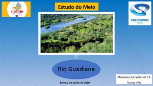 Rio Guadiana