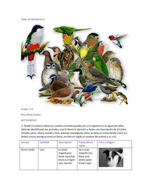 Taller De Pachamama 5