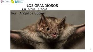 Los grandiosos murciélagos - Angélica María Butrón Müller