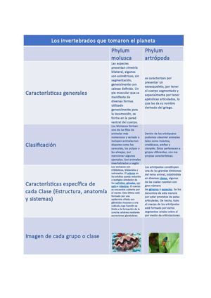Cuadro Comparativo Moluscos Y Artrópodos Fabian Serruto