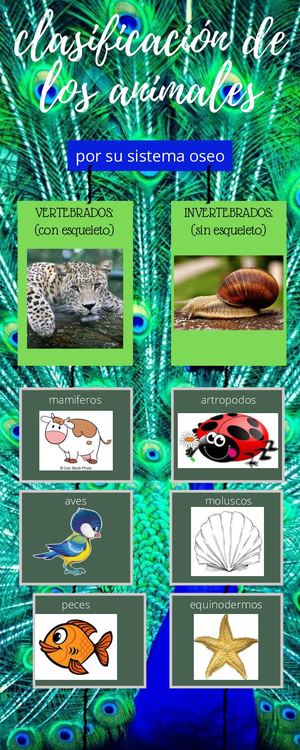 Revista Digital De Los Animales