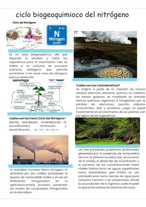 Ciclos Biogeoquimicos