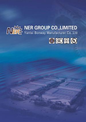 Helical Bevel Gear Motors Compressed