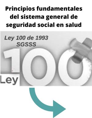 Principios Fundamentales De Sgsss