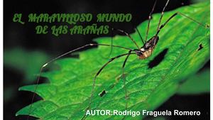 El maravilloso mundo de las arañas - Rodrigo Fraguela Romero